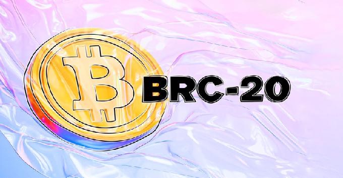 A Beginner's Guide to BRC-20? What is BRC20?